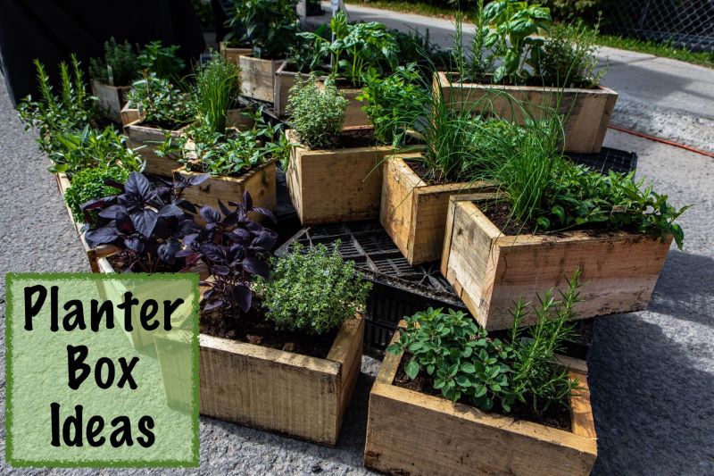 7 Planter Box Ideas to Bring Your Garden New Life
