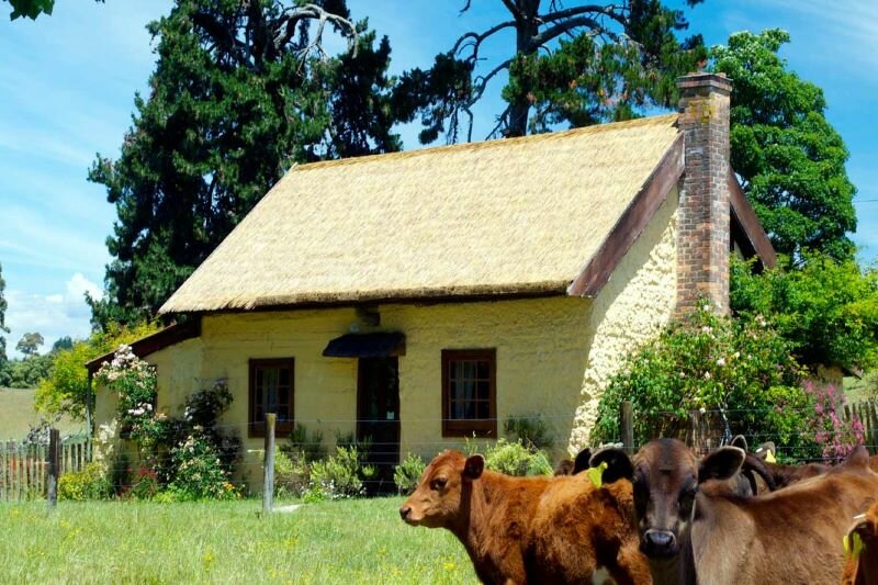 Sustainable Materials for Your Home and Garden Projects