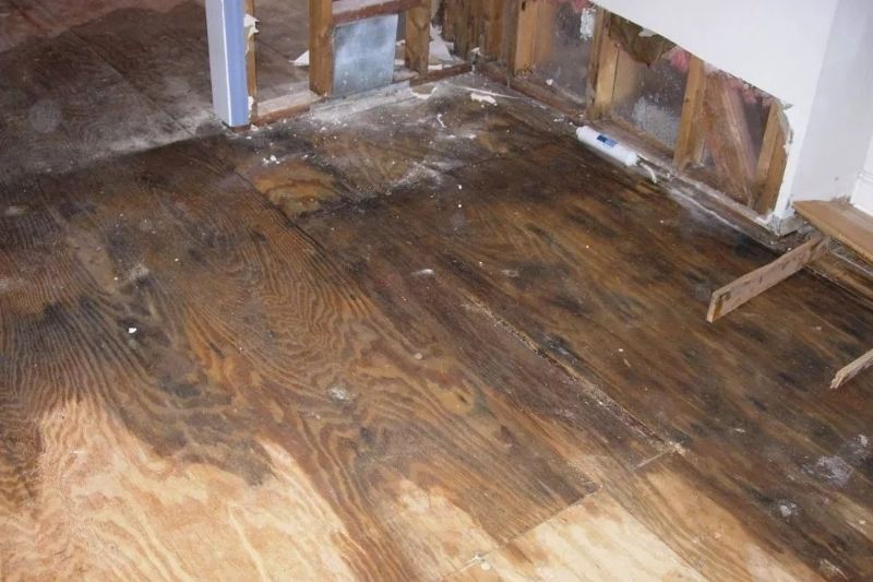 DIY How to Spot Water Damage in Your Home