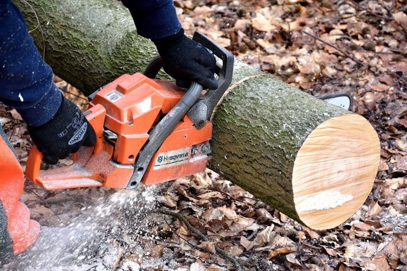 Tips to Maintain Electric Chainsaws
